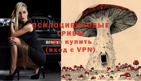 гидра Абдулино