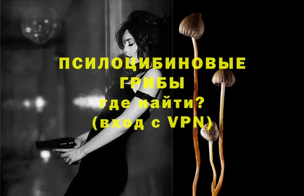 гидра Абдулино