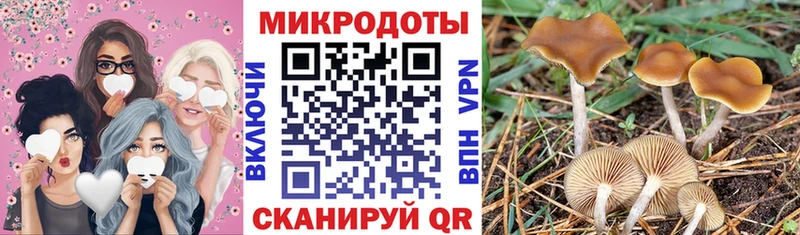 купить   Рассказово  Галлюциногенные грибы мицелий 